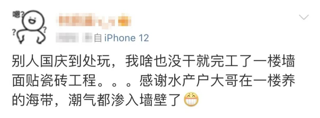 致富经养狗_养狗致富经_致富项目养狗