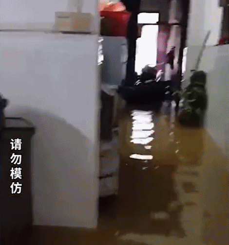 致富经养狗_养狗致富经_致富项目养狗