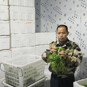 农业致富好项目_怎样致富致富_致富经..