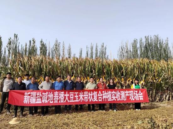 优质作物推广成效及经验_成效作物优质推广经验怎么写_推广农作物