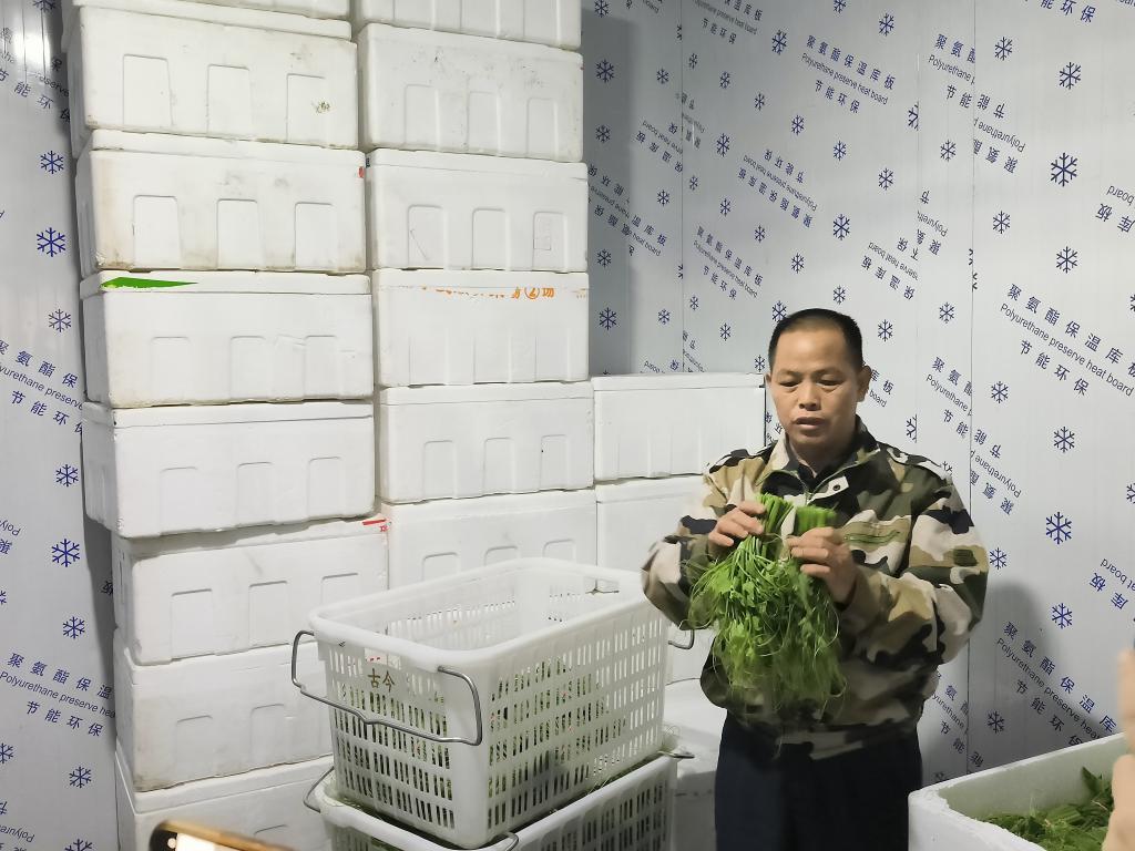 养狗致富经_致富经养狗_致富项目养狗