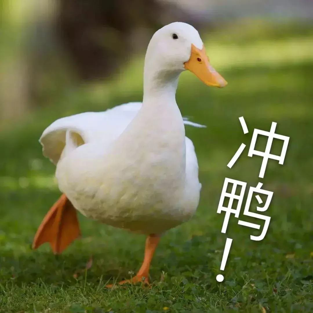 炒股心得总结_炒股心得经验_炒股心得感悟