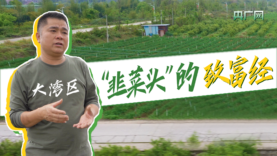 致富经一亩地赚40万_致富经2017_致富2023