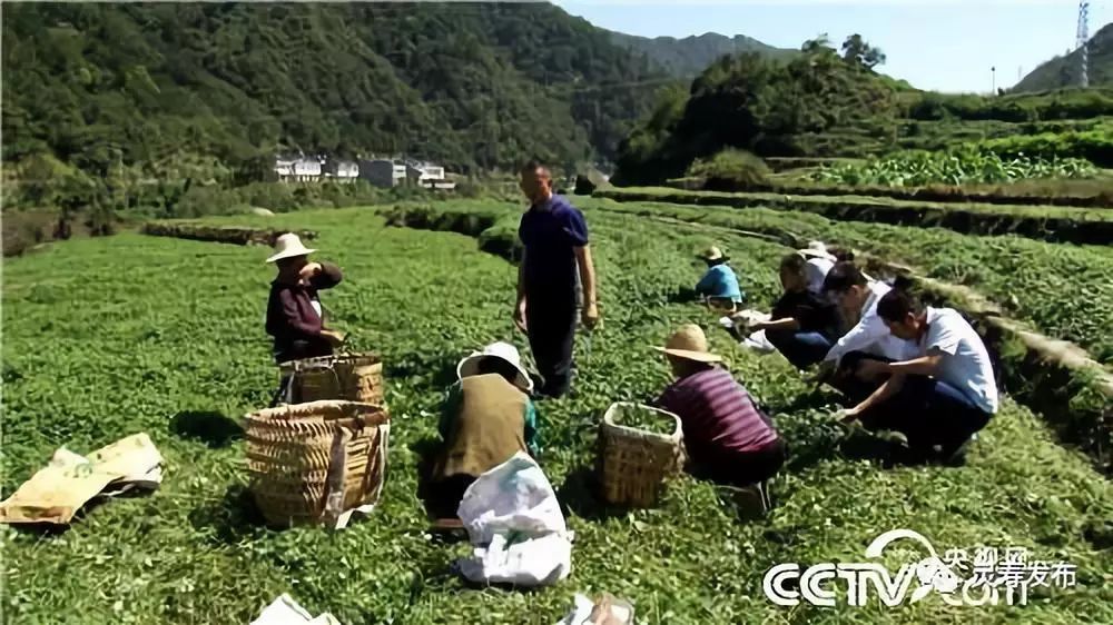 致富2023_致富经2018_致富经