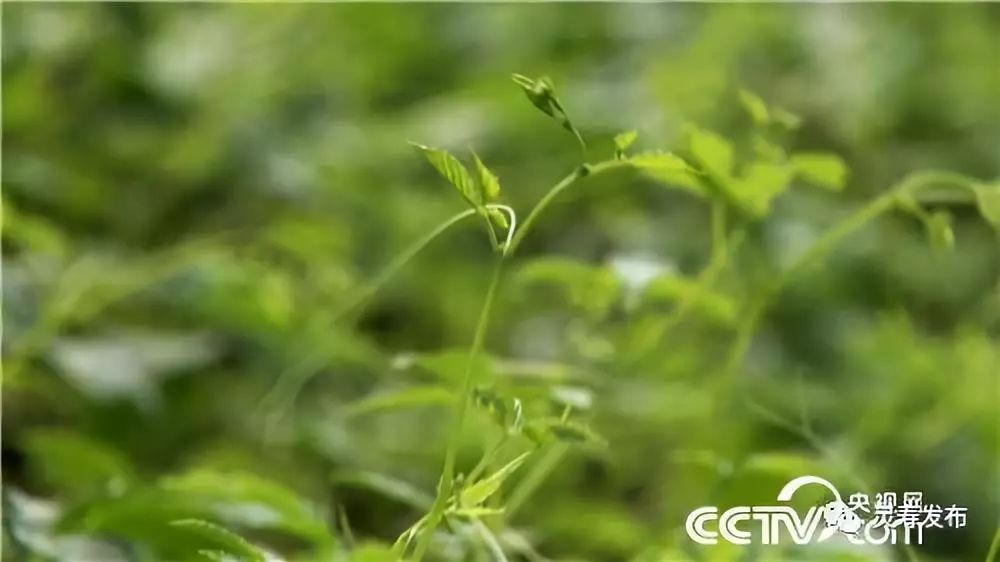 致富经_致富经2018_致富2023