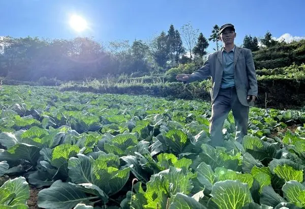 养驴网致富王玉金_致富经养_农村养什么致富