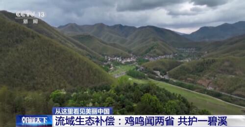 致富经央视_2020央视致富经_央视致富节目