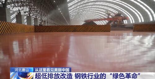2020央视致富经_央视致富节目_致富经央视