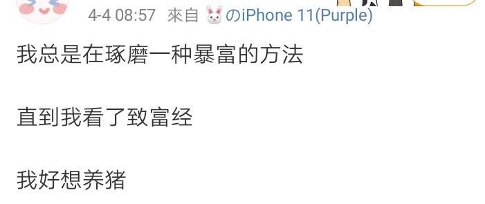 中央农业节目致富经视频_农业节目致富经_央视农业致富节目