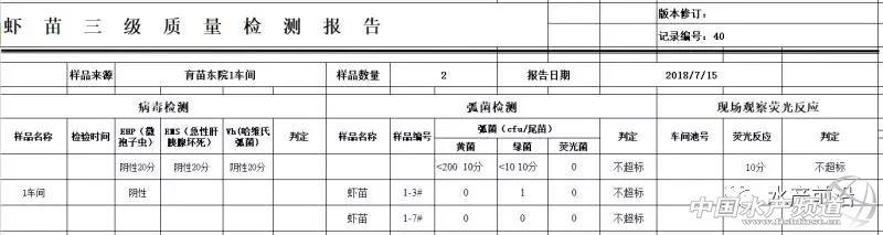 对虾养殖技术致富经(专用塘虾、甲鱼、生鱼轮养致富) 养殖业 第10张