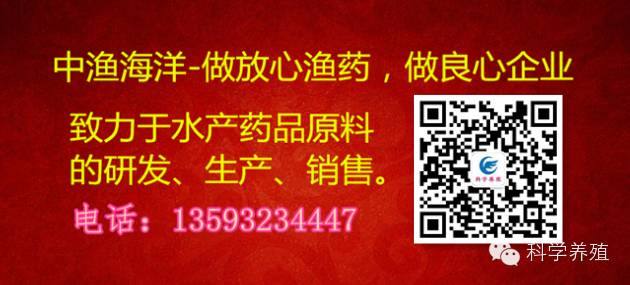 养鱼致富经_致富经养鱼一年多赚1000万_致富养鱼视频