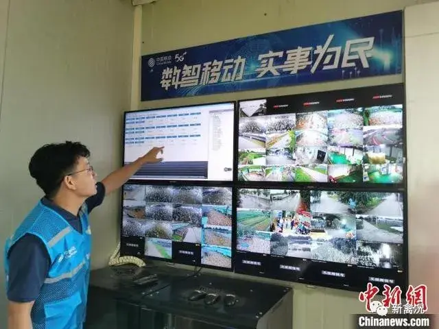 致富鸡幸福路_致富经鸡_致富经养鸡视频大全