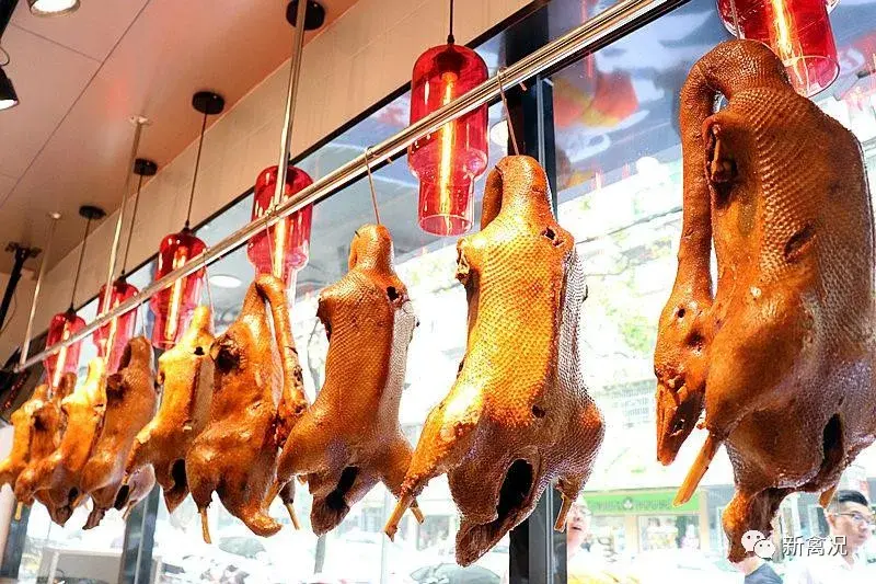 致富经鸡_致富鸡幸福路_致富经养鸡视频大全