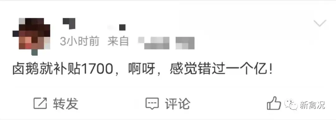 致富鸡幸福路_致富经养鸡视频大全_致富经鸡