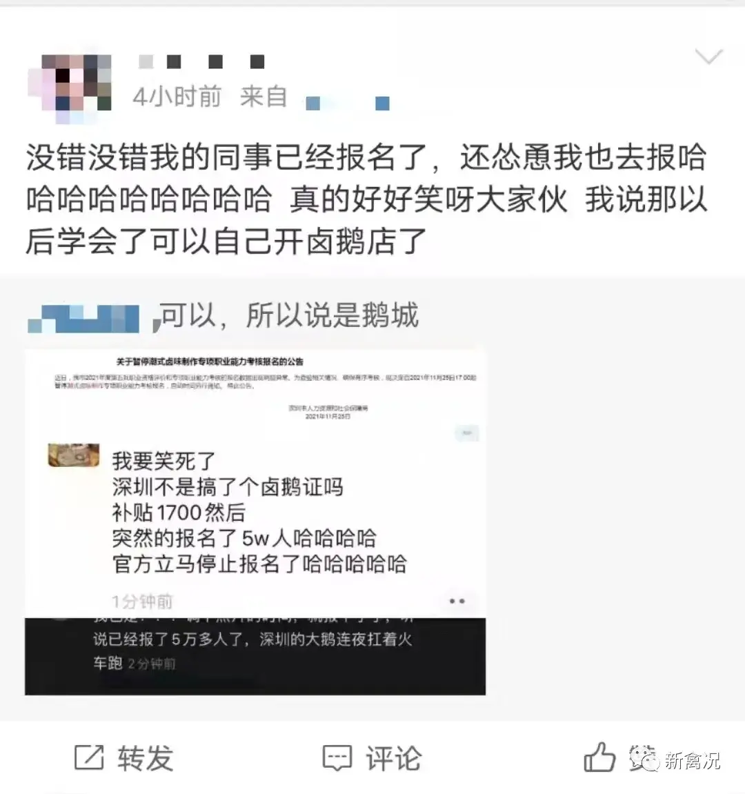 致富鸡幸福路_致富经鸡_致富经养鸡视频大全