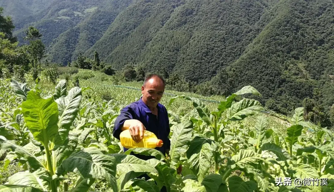 村医致富经小说阅读_乡医致富经_村医致富经