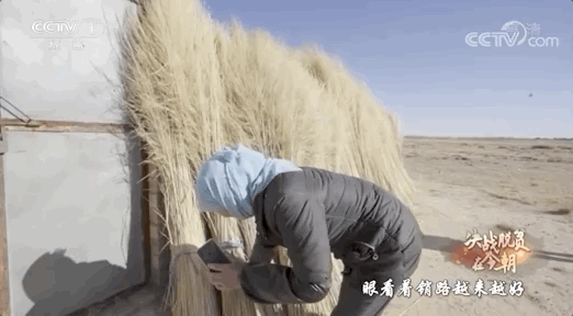 村医致富经小说阅读_致富小村医_村医致富经