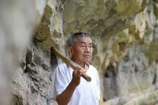 致富频道_农视网致富经_致富经20130102农视网