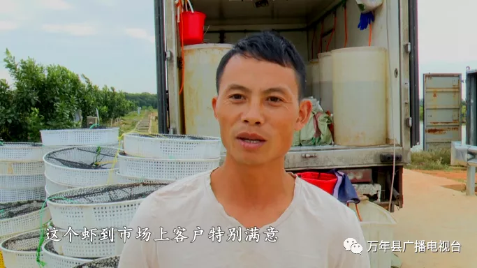 致富经养殖虾_致富经淡水虾养殖视频_致富经养虾