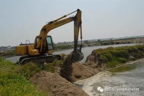致富经室内养虾视频_致富经养殖虾_致富经养虾