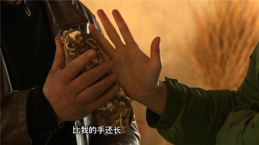 致富经养虾_致富经养殖虾_致富经淡水虾养殖视频