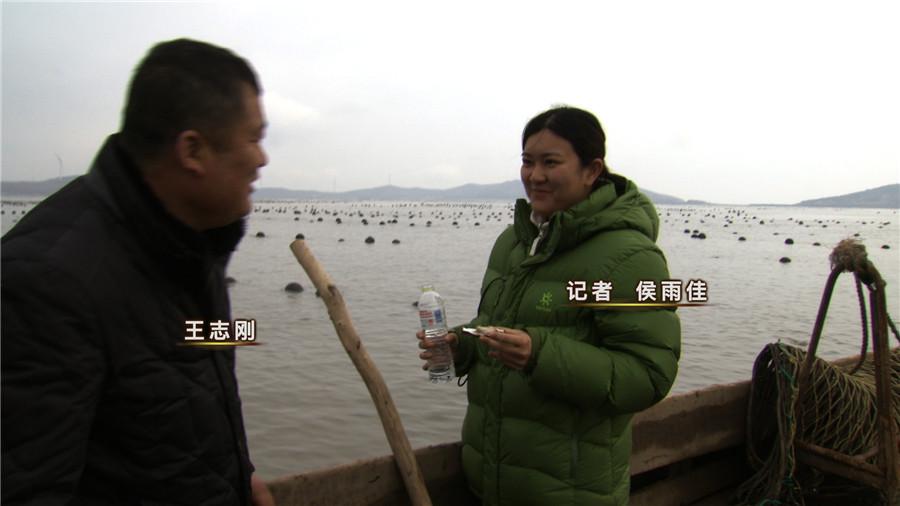 致富经养虾_致富经淡水虾养殖视频_致富经养殖虾