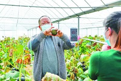 养鱼致富经_致富经新奇养鱼方法_致富网养鱼