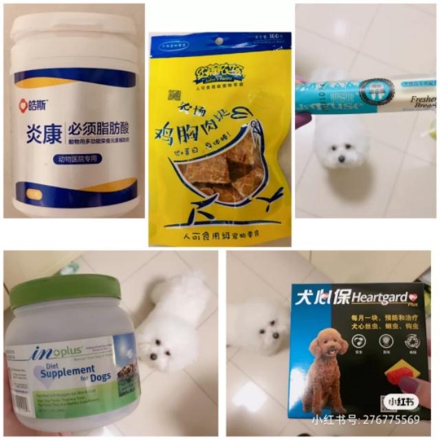 宠物经验丹怎么获得_宠物心得技能_宠物经验心得