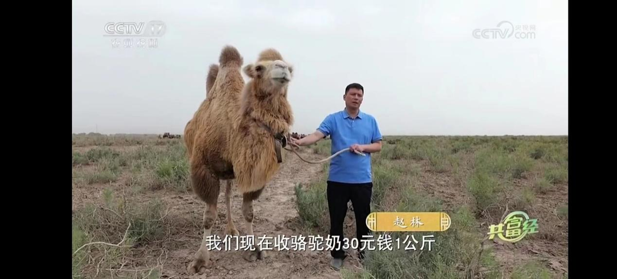中央致富经在哪个频道_中央致富经全集_中央七套致富经