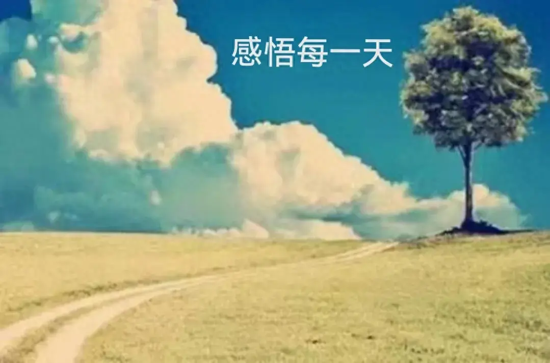 关于梦想的经历和感悟作文_梦想世界经验心得_心得体会梦想