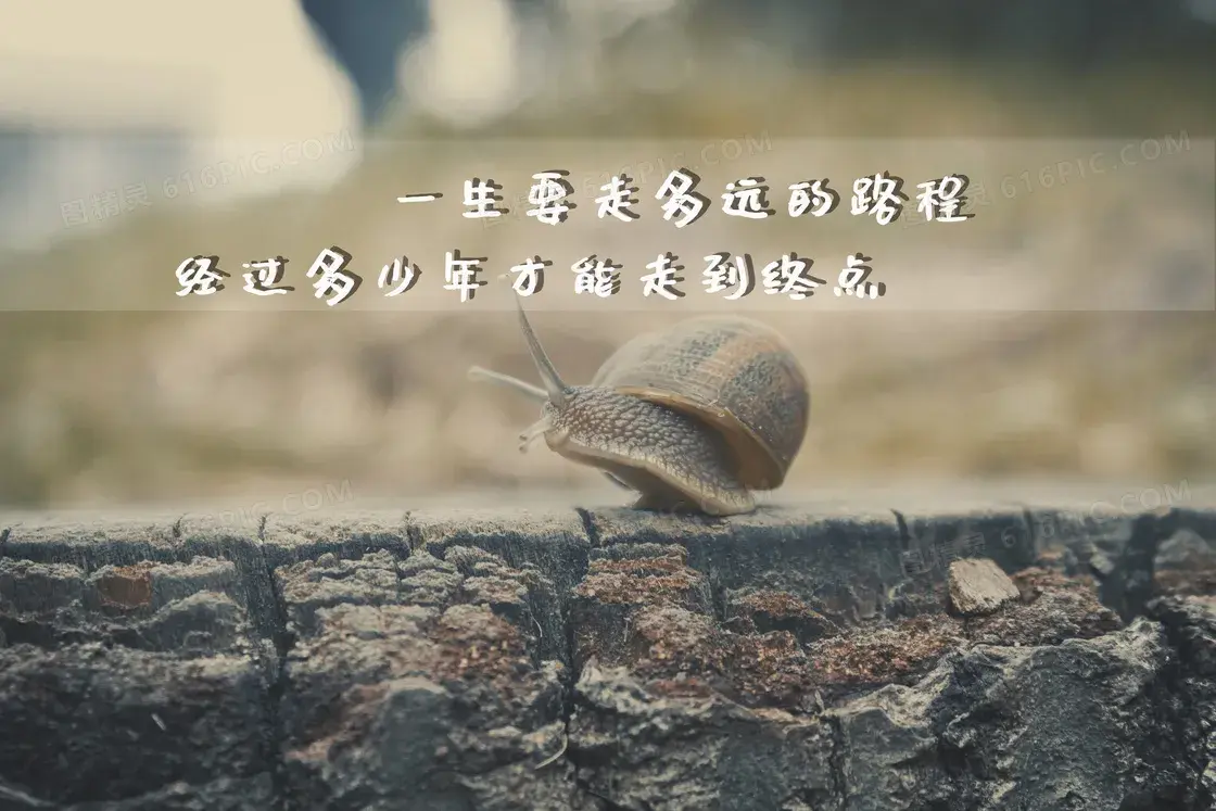 心得体会梦想_梦想世界经验心得_关于梦想的经历和感悟作文