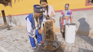 农业频道致富经_cctv7农业节目致富经_农业致富频道节目表