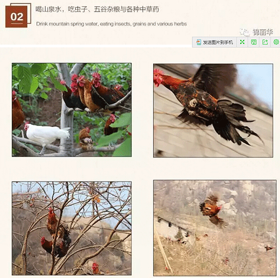中央七套致富经_中央台致富节目有哪些_中央致富经是真的假的