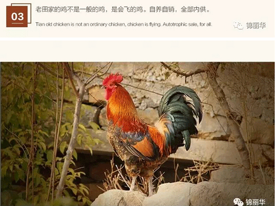 中央致富经是真的假的_中央七套致富经_中央台致富节目有哪些