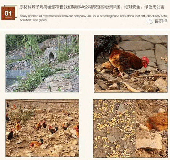 中央七套致富经_中央台致富节目有哪些_中央致富经是真的假的