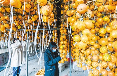 中央致富经_致富经中央_中央致富经在哪个频道