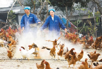 中央致富经_中央致富经在哪个频道_致富经中央