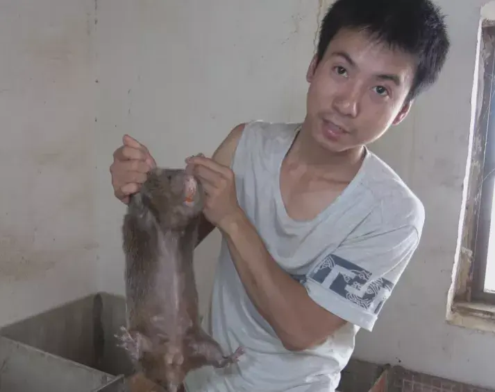 致富经央视_央视频致富经_央视致富经2021全集视频