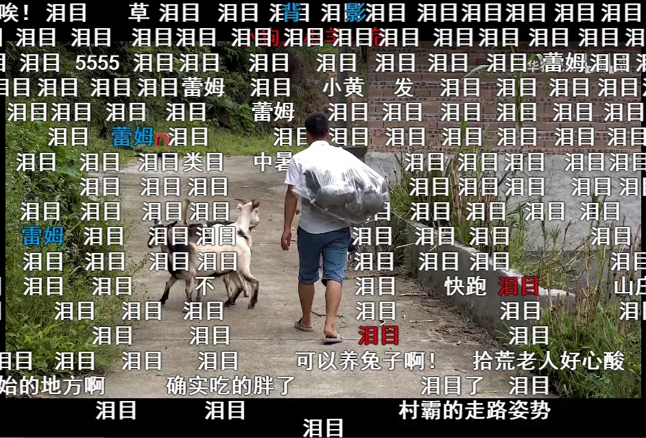 致富经央视_央视致富经2021全集视频_央视频致富经
