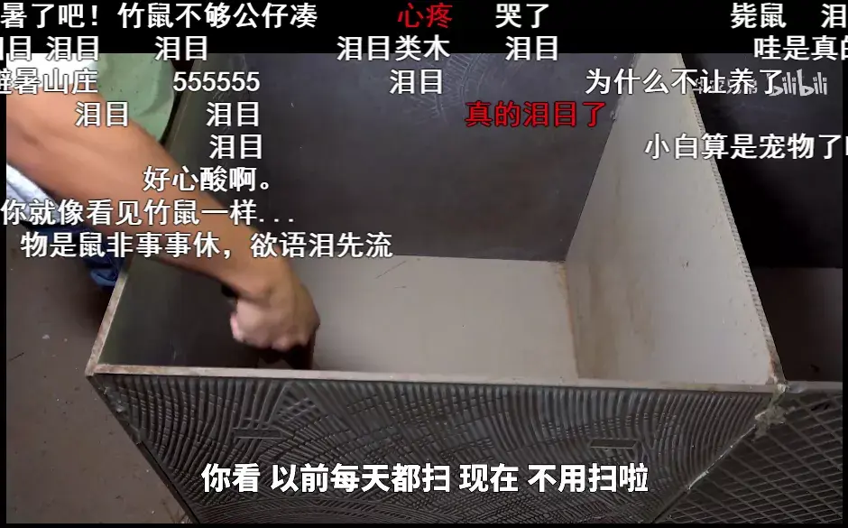 致富经央视_央视频致富经_央视致富经2021全集视频