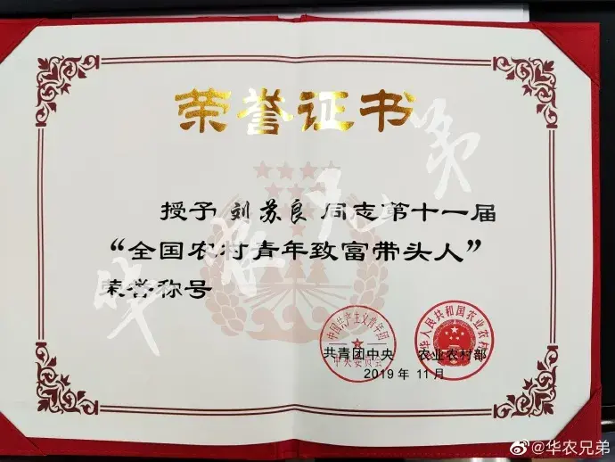 央视频致富经_央视致富经2021全集视频_致富经央视