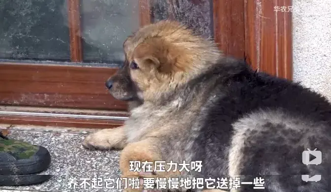 央视致富经2021全集视频_致富经央视_央视频致富经