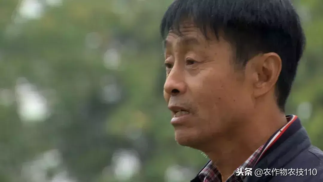 致富赚钱_致富经_cctv致富经