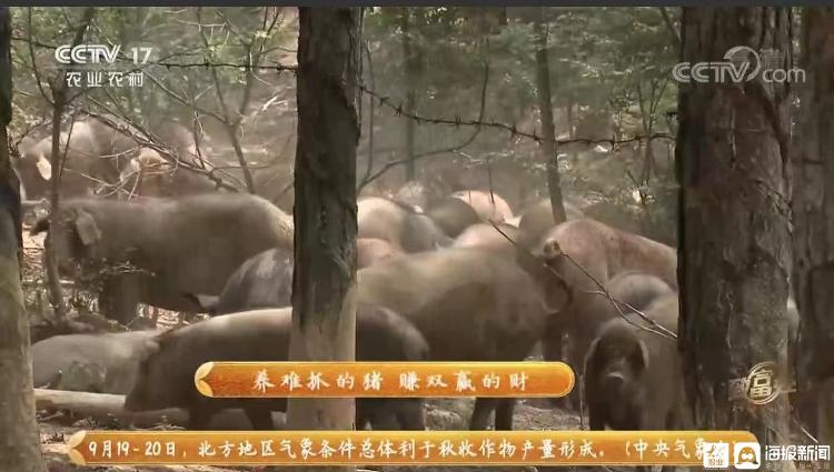 央视致富经_央视致富经2021全集视频_央视频致富经
