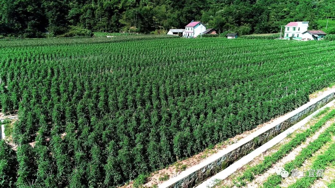 致富经全部视频_视频致富经_致富小视频