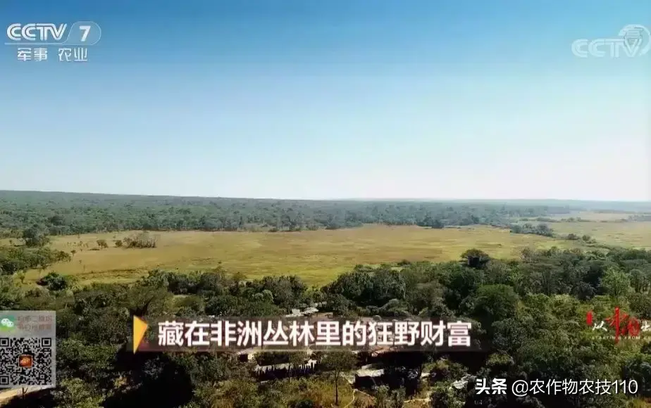 怎样致富致富_致富经_cctv致富经