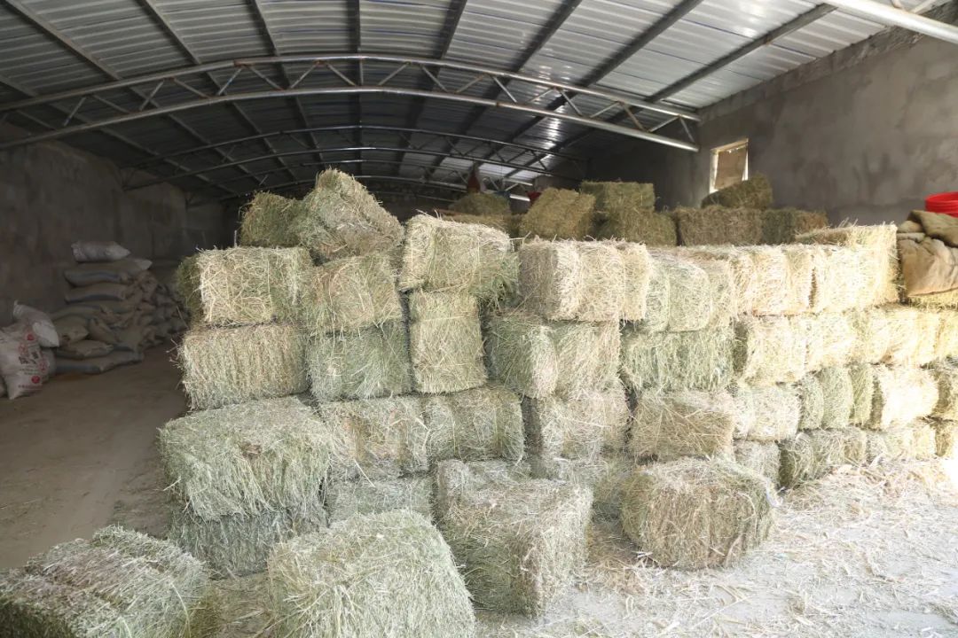 致富小视频加工厂_致富经全部视频创业项目_致富经全部视频
