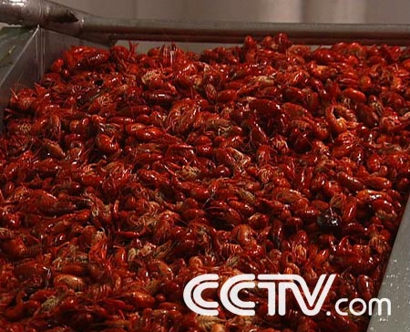 [致富经]郑玉林的财富奇遇(2009.7.3)