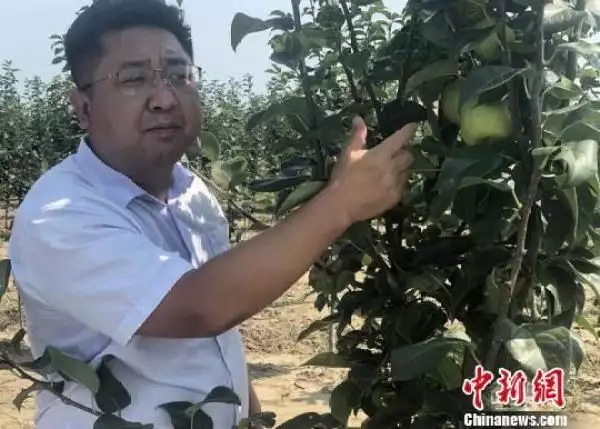 致富经2018_致富经一亩地赚40万_致富经