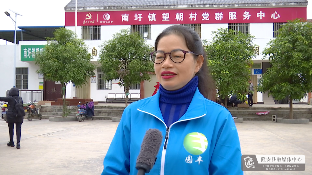 致富黄金叶_致富经黄_致富黄金叶乐了烟农